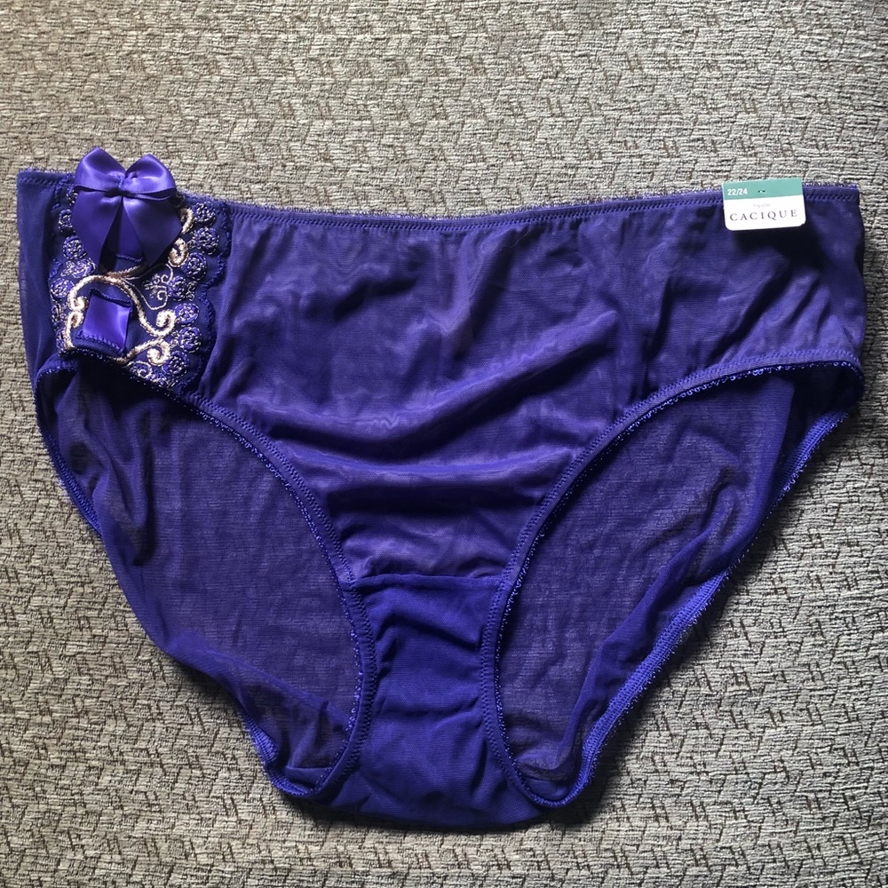 NWT Lane Bryant panties